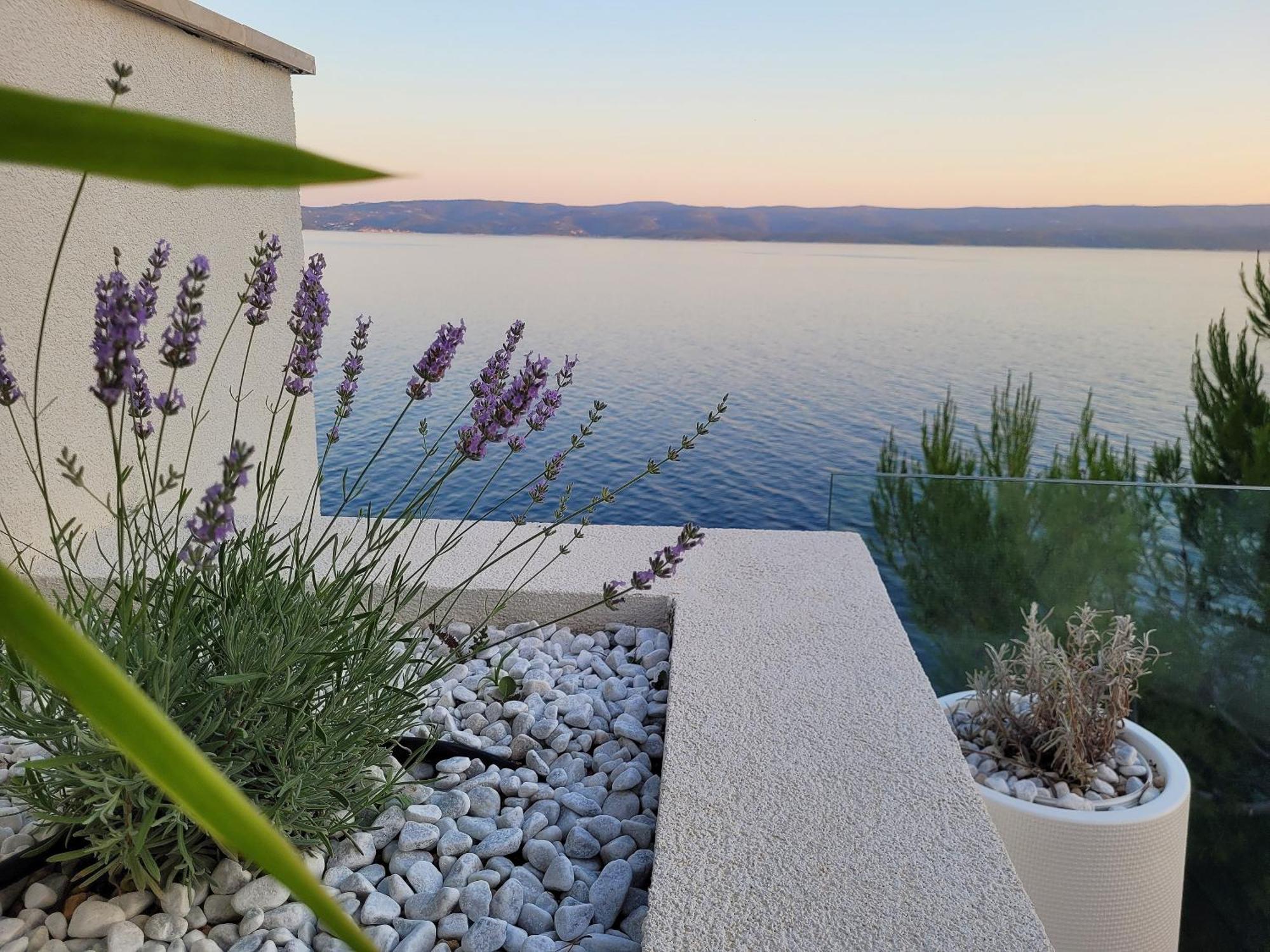 Marusici  Luxury Apartments Villa Opera מראה חיצוני תמונה